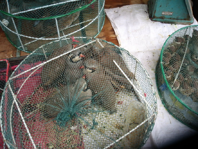 有苦，就有我！