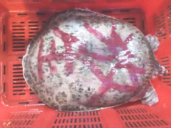 這件事永遠開心