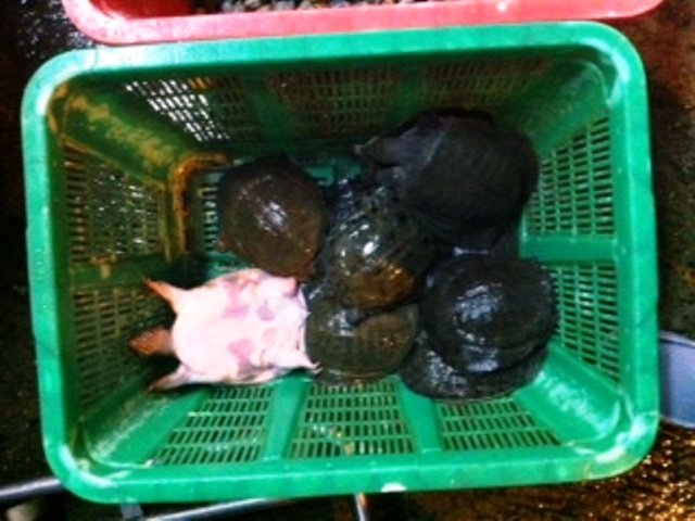 觀世音菩薩在雲頭上也流下慈悲的眼淚！