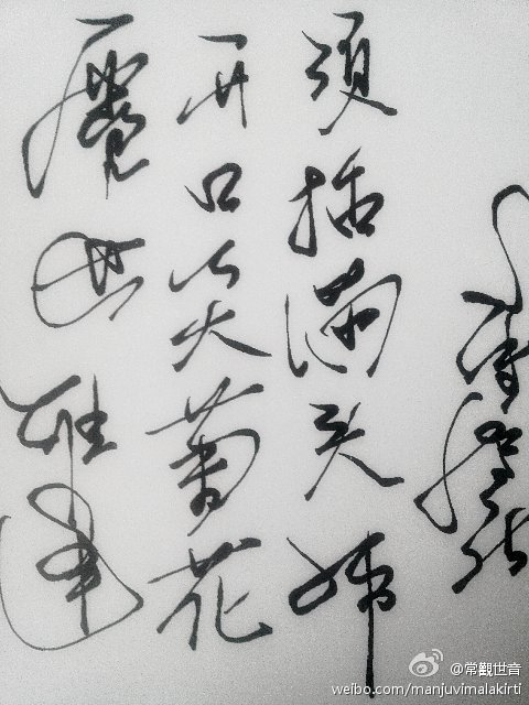 尘世难逢开口笑，菊花须插满头归