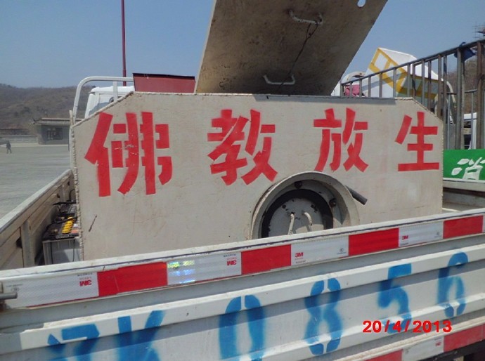 善心莲心联合辽宁大悲寺举行大型放生