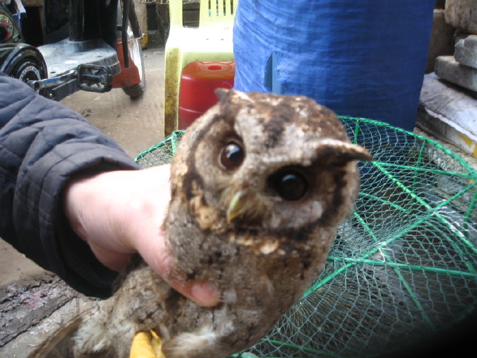 有苦，就有我！