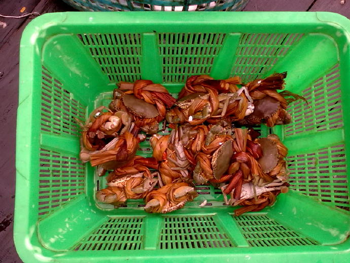 這件事永遠開心