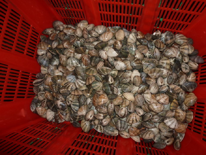 很多人仍然不相信我的話－放生可以成佛