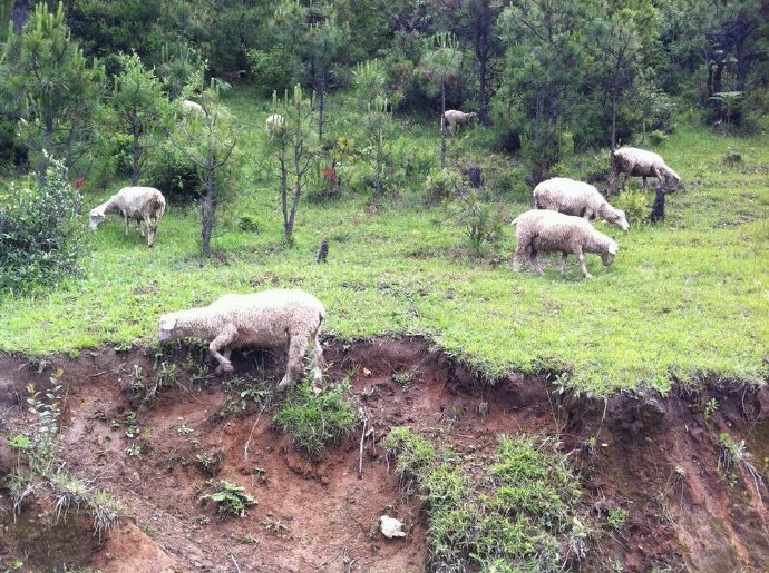 善心蓮心雲南大型助學之旅(一)