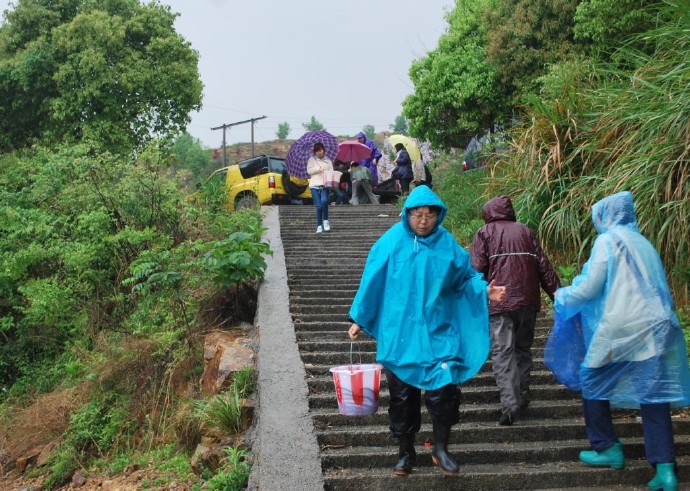 善心莲心联合浙江多宝讲寺举行大型放生