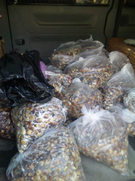 一種堅持一個信念一切改變