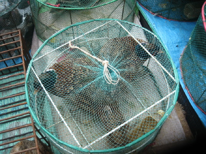 有苦，就有我！