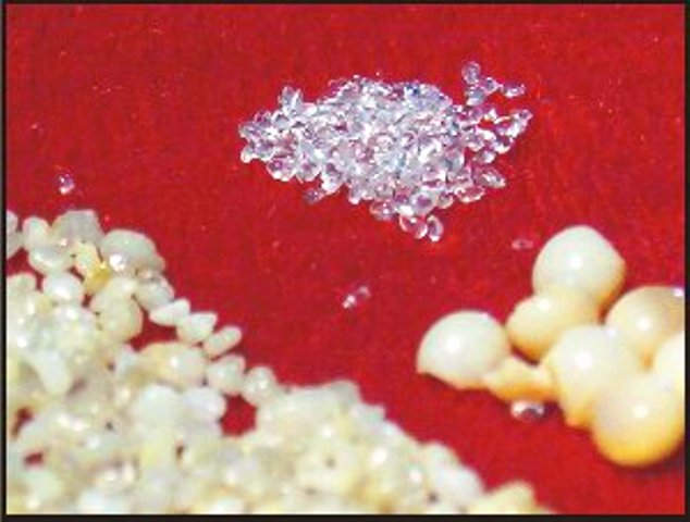 佛陀常證此心丹