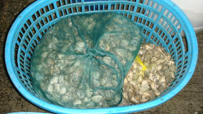 九龍吐水浴佛恩